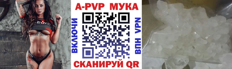 купить  сайты  Каргополь  Альфа ПВП Соль 