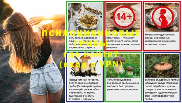МДПВ Алексин