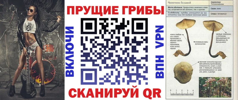 Галлюциногенные грибы Psilocybe Каргополь